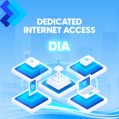 DEDICATED INTERNET ACCESS (DIA)