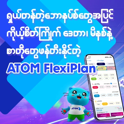 Flexiplan